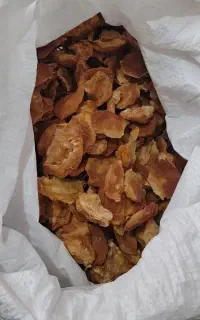 قیصی گوشتی وشیرین