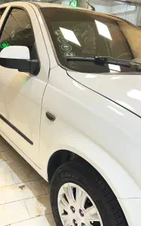 تیبا دو سفید