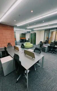 استخدام نیروی کار