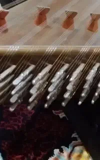 سنتور