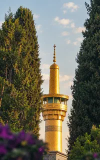 تور مشهد الرضا