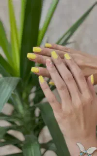 کاشت ناخن با قیمت مناسب ۴۵۰