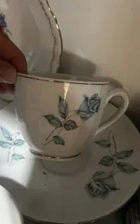 ست گل رز فنجان و نعلبکی عتیقه