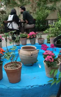 طراحی و اجرای فضای سبز حرفه‌ای خانه، کافه و ادارات
