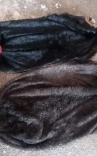خیگ روغنی