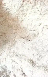 کاه دست بر و دیم