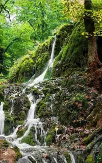راهنمایی سفر
