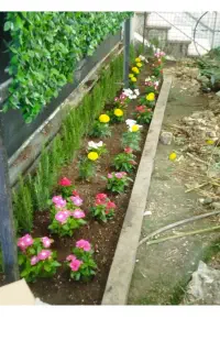 خدمات‌باغبانی‌درسراسر‌تهران