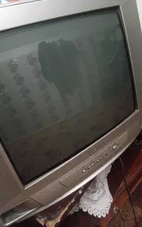 تلوزیون