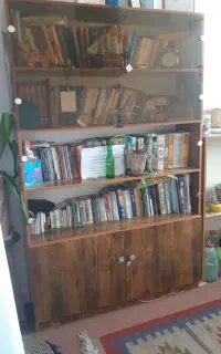 کتابخونه بزرگ و سالم و جادارو یک طبقه کمد قفل دار
