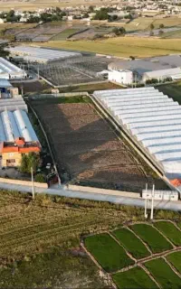 استخدام در گلخانه