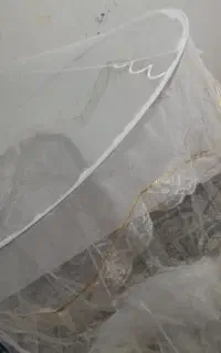 حجله عروس