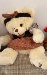 عروسک  خرسی