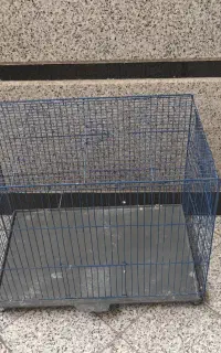 قفس