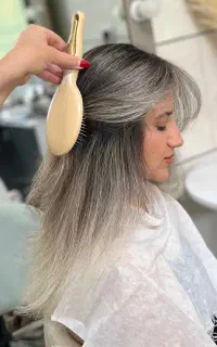 هایلایت