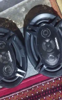 ضبط و باند کونگورد