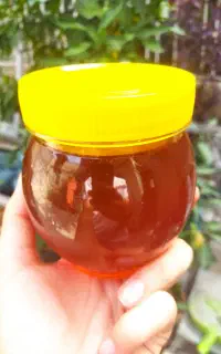 عسل درجه یک