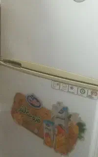 یخجال مارک فیلور
