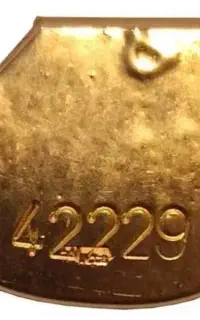 اجاره طلا(فقط کارگاه طلا سازی یاویترین دار)