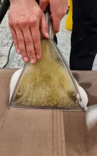 مبل شویی در منزل/ لکه بری ، رفع بو ، ضدعفونی کامل