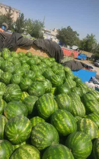 باربری حمل بار ماشین گیر جفت تک خاور تریلی