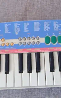 ارگ نوجوان کاسیو SA-21