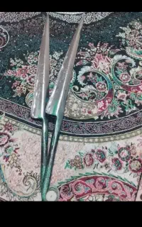 چره یا پشم چینی گوسفند