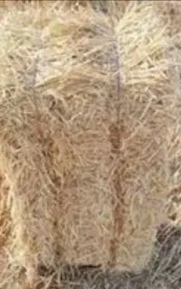 کاه بسته بندی گندم