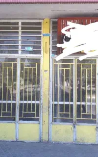 درب آهنی مغازه