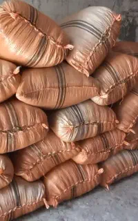 کاه ماش سیاه ( سامان قره دانه )