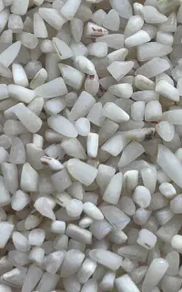 برنج شیرودی و شکسته