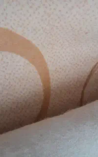 دو عدد موکت6متری