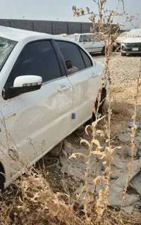 سمند تصادفی ، چپی