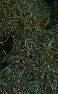 فروش یونجه گوسفندی