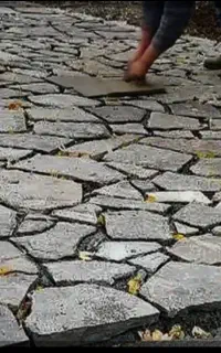 استاد بنا سفت کاری