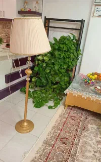 آباژور