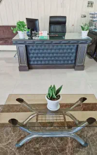 نیروی خانم جهت پخش تراکت پیاده منظم و با مسئولیت
