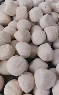 کشک  دو سرپیچ