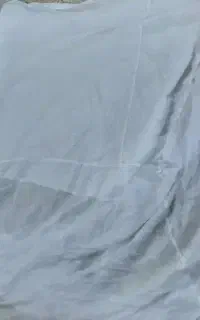 پشه بند