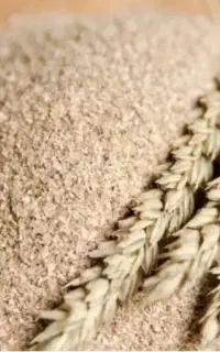 سبوس گندم