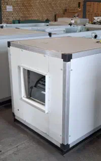 زنت
