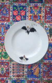 بشقاب