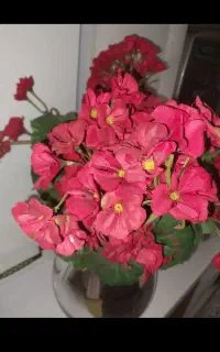 تولدت و گلدان مصنوعی