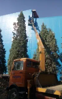 خدمات واجاره جرثقیل خاور دارای سبد بالابر نفر