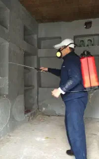 سمپاشی موریانه زدایی سوسک ساس موش منازل سم‌پاشی