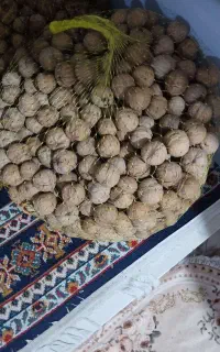 گردو فروشی