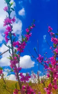 آموزش موبایل گرافی