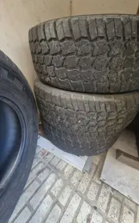 لاستیک پاترول