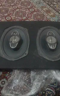 باند پایونر