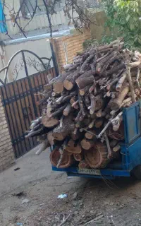 خریدار انواع چوب